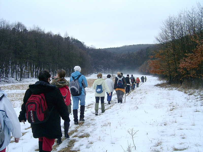 20100220 038.jpg